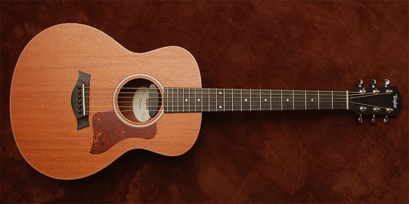 Taylor GS mini